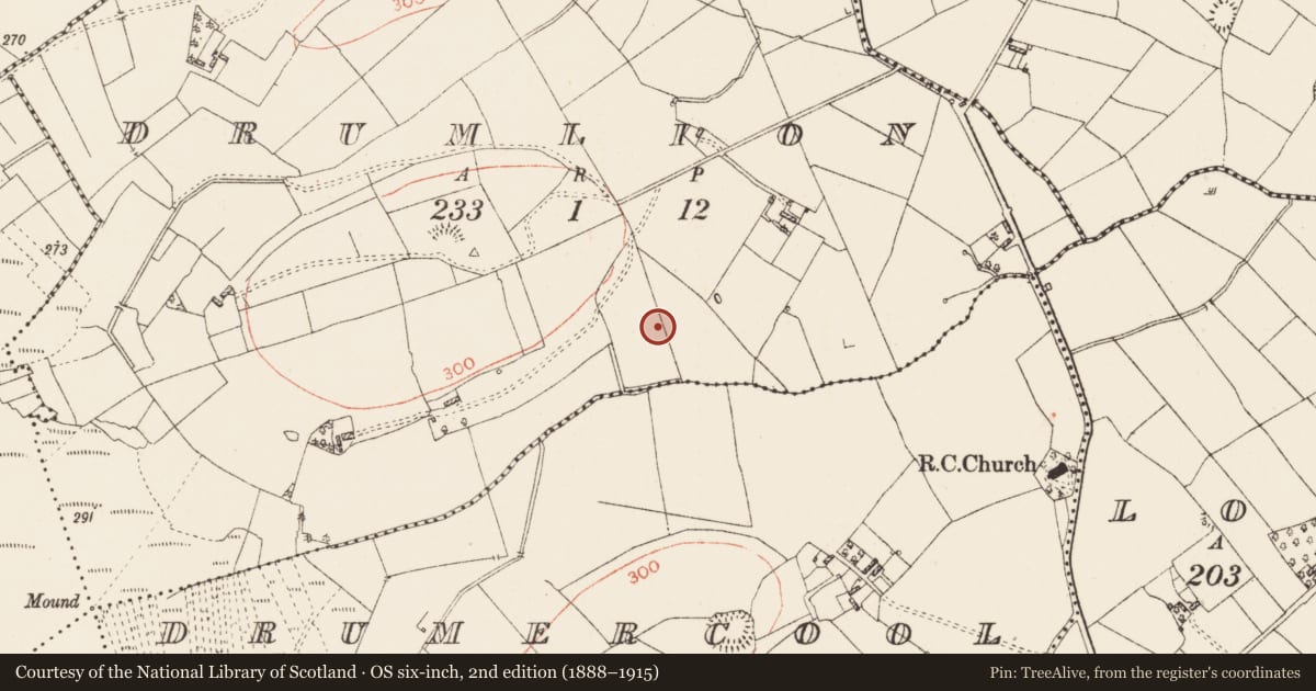 Ordnance Survey six-inch map, 2nd edition (1888–1915) covering the location of Ringfort - rath, Drumlion, County Roscommon, with a pin at the register's coordinates