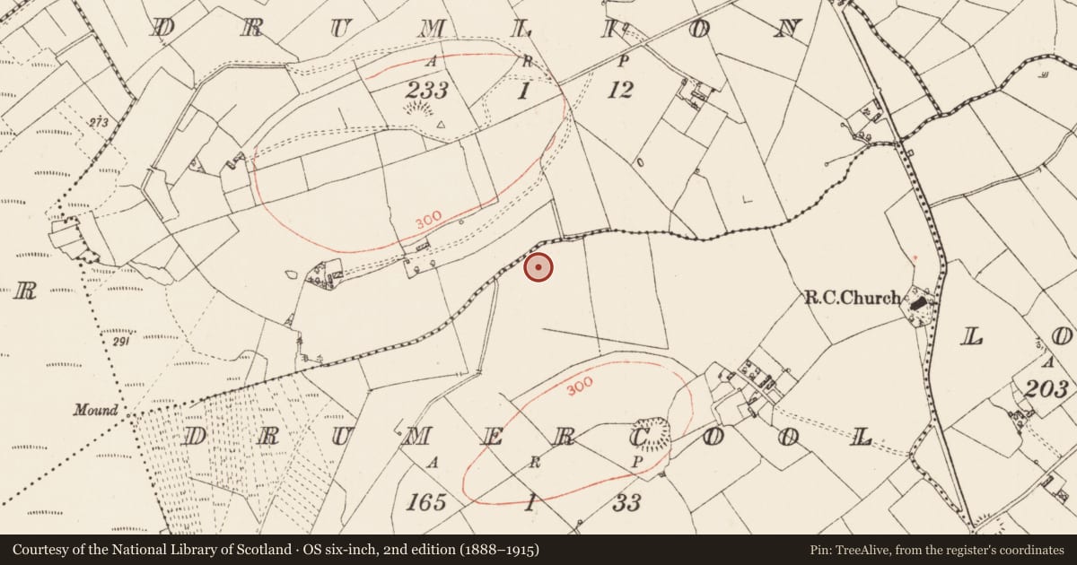 Ordnance Survey six-inch map, 2nd edition (1888–1915) covering the location of Ringfort - rath, Drumercool, County Roscommon, with a pin at the register's coordinates