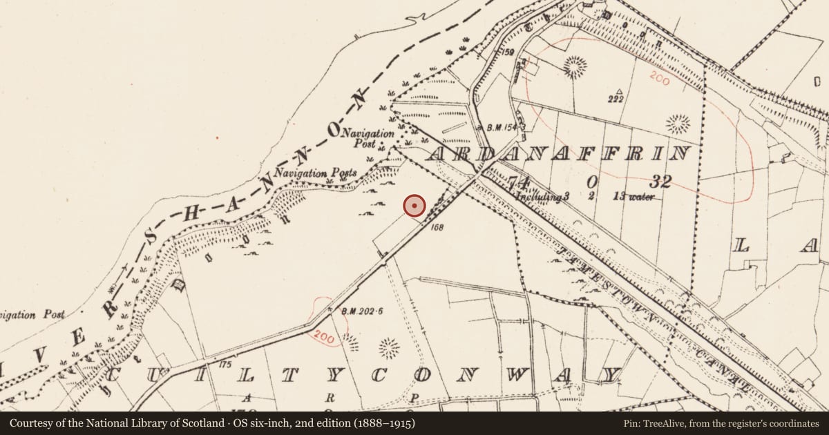 Ordnance Survey six-inch map, 2nd edition (1888–1915) covering the location of Ringfort - rath, Cuiltyconway, County Roscommon, with a pin at the register's coordinates