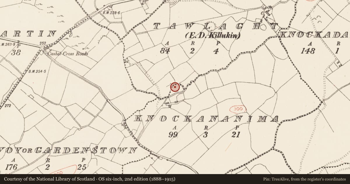 Ordnance Survey six-inch map, 2nd edition (1888–1915) covering the location of Ringfort - rath, Knockananima, County Roscommon, with a pin at the register's coordinates