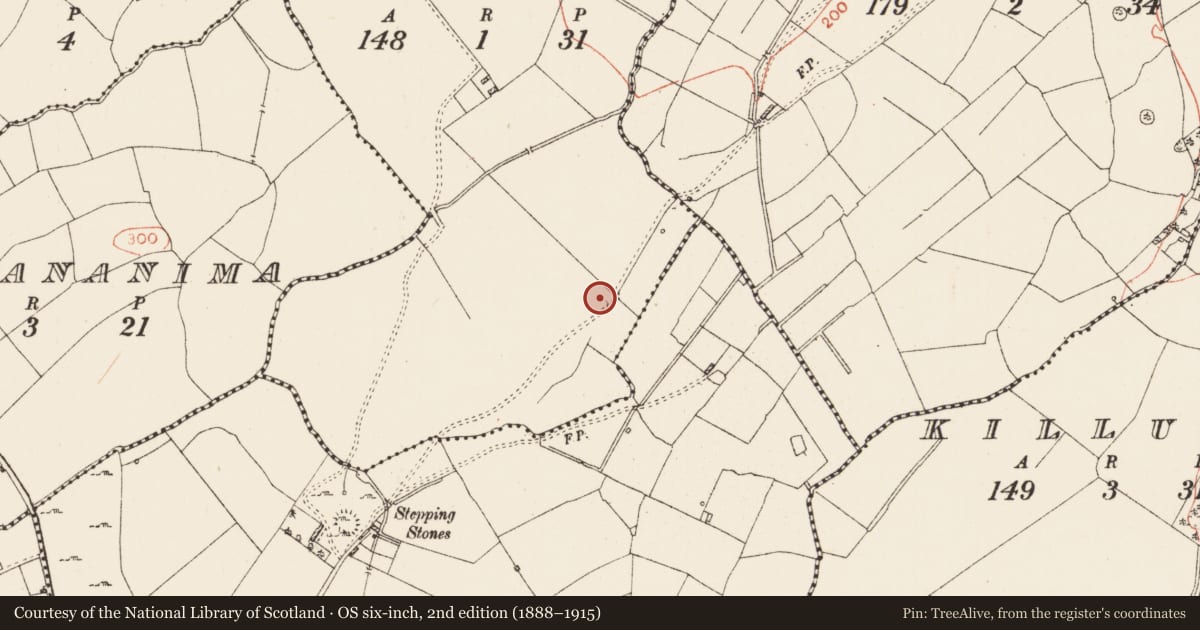 Ordnance Survey six-inch map, 2nd edition (1888–1915) covering the location of Ringfort - rath, Knockadalteen, County Roscommon, with a pin at the register's coordinates