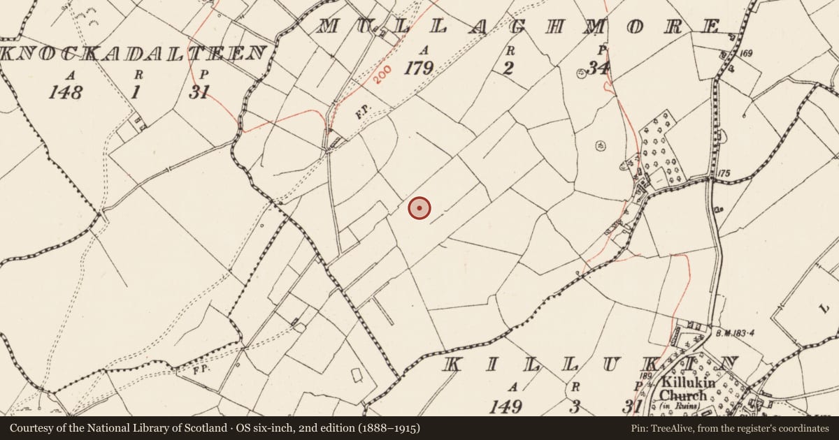 Ordnance Survey six-inch map, 2nd edition (1888–1915) covering the location of Enclosure, Mullaghmore, County Roscommon, with a pin at the register's coordinates