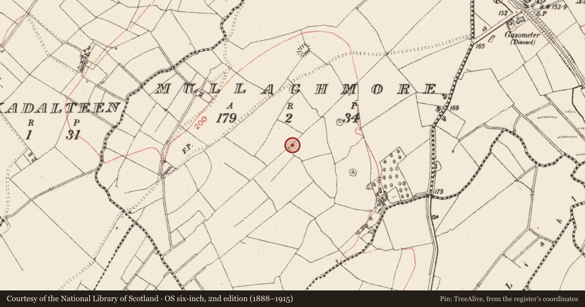 Ordnance Survey six-inch map, 2nd edition (1888–1915) covering the location of Ringfort - rath, Mullaghmore, County Roscommon, with a pin at the register's coordinates