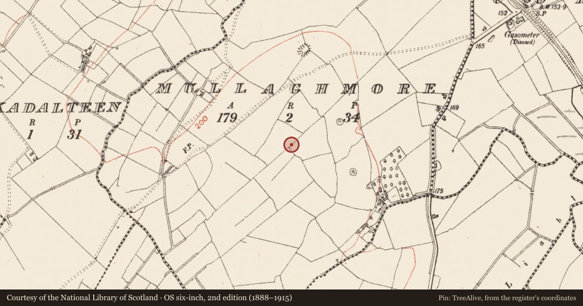 Ordnance Survey six-inch map, 2nd edition (1888–1915) covering the location of Hut site, Mullaghmore, County Roscommon, with a pin at the register's coordinates