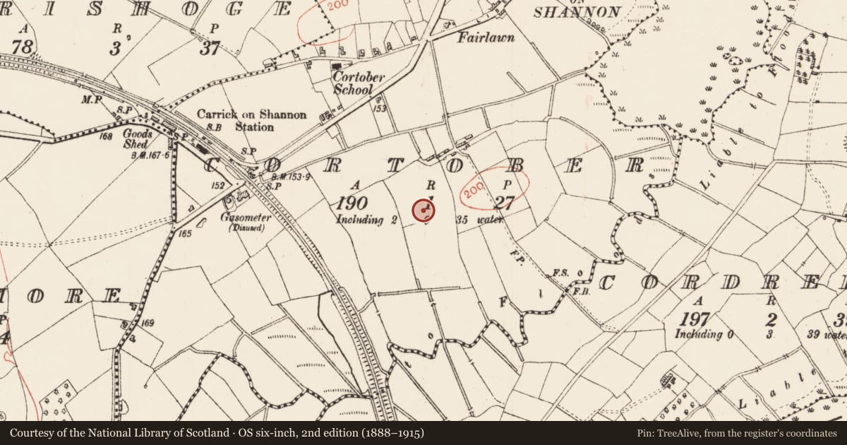 Ordnance Survey six-inch map, 2nd edition (1888–1915) covering the location of Ringfort - rath, Cortober, County Roscommon, with a pin at the register's coordinates