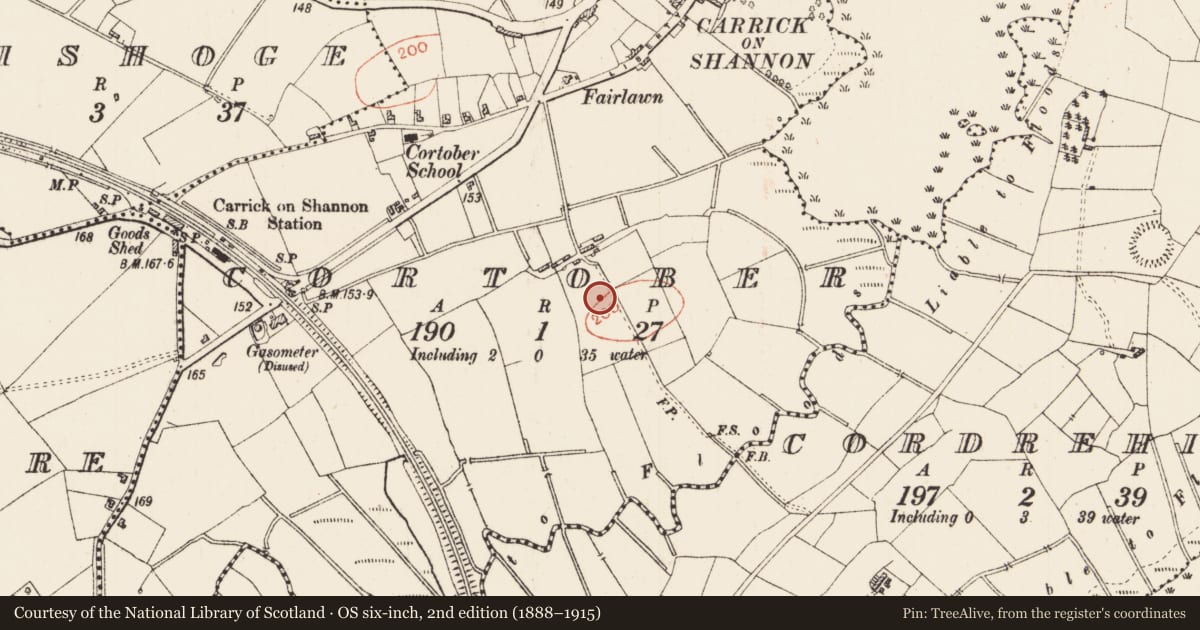 Ordnance Survey six-inch map, 2nd edition (1888–1915) covering the location of Ringfort - rath, Cortober, County Roscommon, with a pin at the register's coordinates
