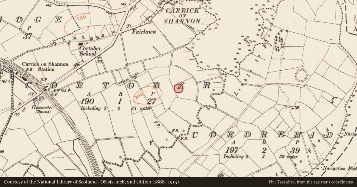 Ordnance Survey six-inch map, 2nd edition (1888–1915) covering the location of Ringfort - rath, Cortober, County Roscommon, with a pin at the register's coordinates