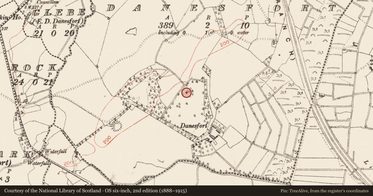 Ordnance Survey six-inch map, 2nd edition (1888–1915) covering the location of Ringfort - rath, Danesfort, County Roscommon, with a pin at the register's coordinates