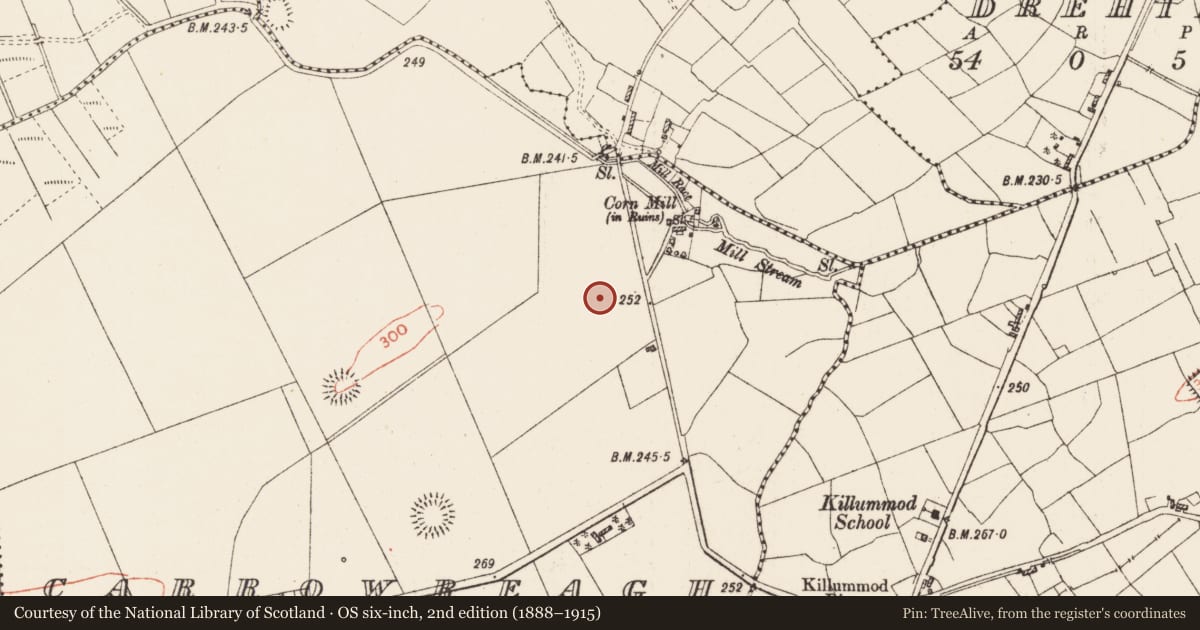 Ordnance Survey six-inch map, 2nd edition (1888–1915) covering the location of Ringfort - rath, Carrowreagh, County Roscommon, with a pin at the register's coordinates