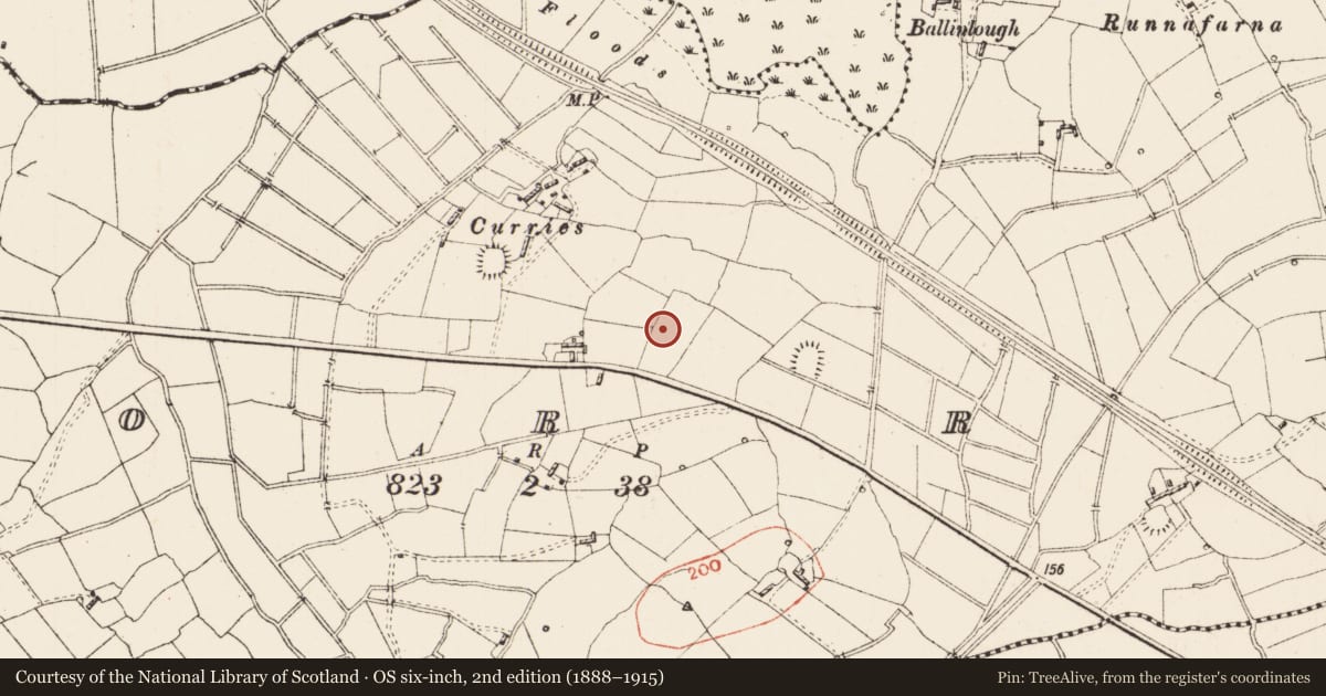 Ordnance Survey six-inch map, 2nd edition (1888–1915) covering the location of Ringfort - rath, Corry, County Roscommon, with a pin at the register's coordinates