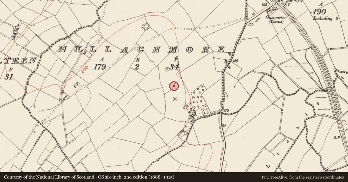 Ordnance Survey six-inch map, 2nd edition (1888–1915) covering the location of Ringfort - rath, Mullaghmore, County Roscommon, with a pin at the register's coordinates