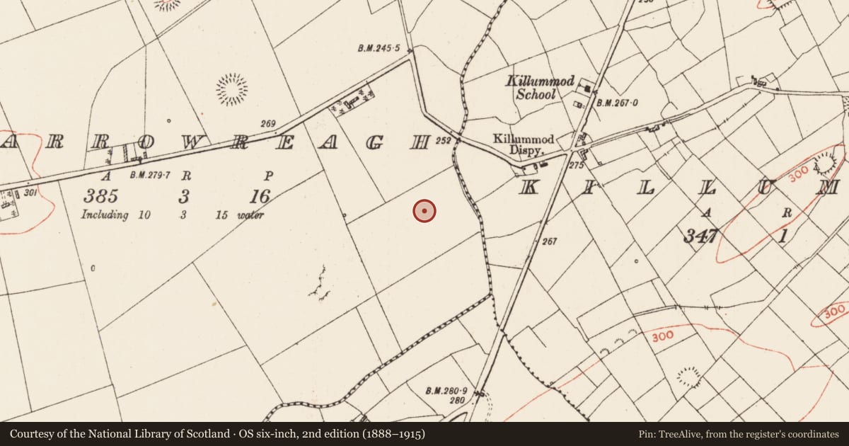 Ordnance Survey six-inch map, 2nd edition (1888–1915) covering the location of Ringfort - rath, Carrowreagh, County Roscommon, with a pin at the register's coordinates