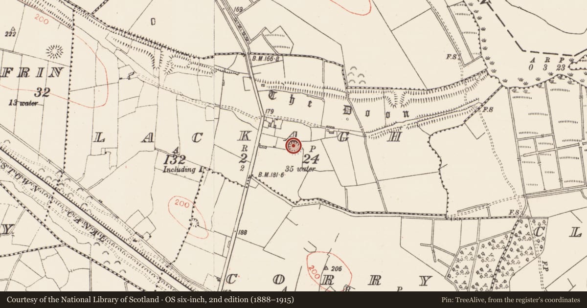 Ordnance Survey six-inch map, 2nd edition (1888–1915) covering the location of Ringfort - rath, Lackagh, County Roscommon, with a pin at the register's coordinates