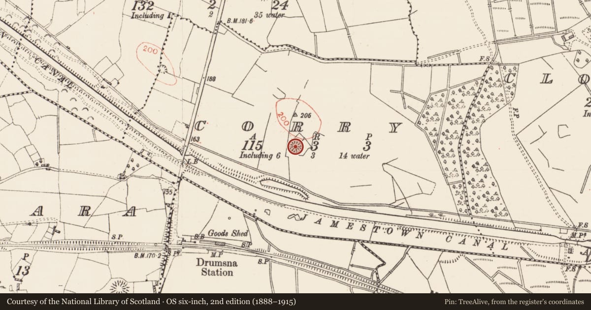 Ordnance Survey six-inch map, 2nd edition (1888–1915) covering the location of Ringfort - rath, Corry, County Roscommon, with a pin at the register's coordinates