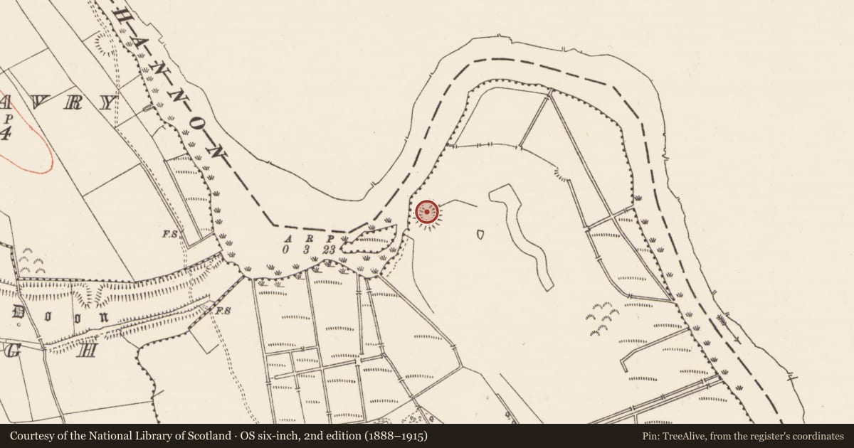 Ordnance Survey six-inch map, 2nd edition (1888–1915) covering the location of Ringfort - rath, Cloonteem, County Roscommon, with a pin at the register's coordinates