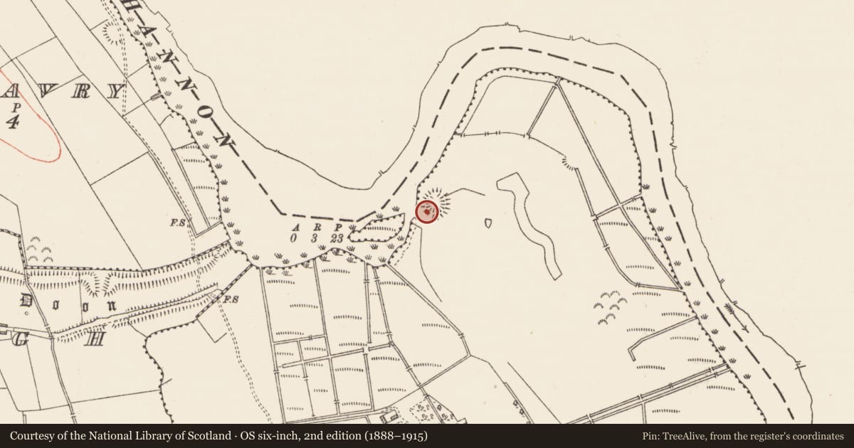 Ordnance Survey six-inch map, 2nd edition (1888–1915) covering the location of Enclosure, Cloonteem, County Roscommon, with a pin at the register's coordinates