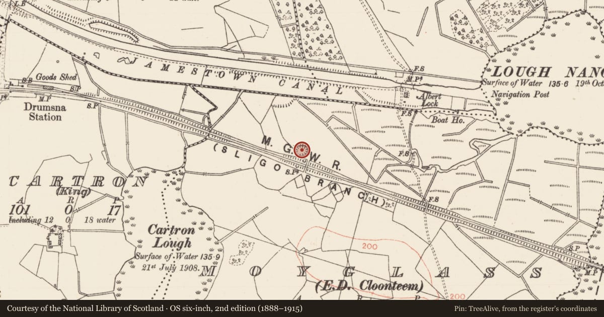 Ordnance Survey six-inch map, 2nd edition (1888–1915) covering the location of Ringfort - rath, Moyglass, County Roscommon, with a pin at the register's coordinates
