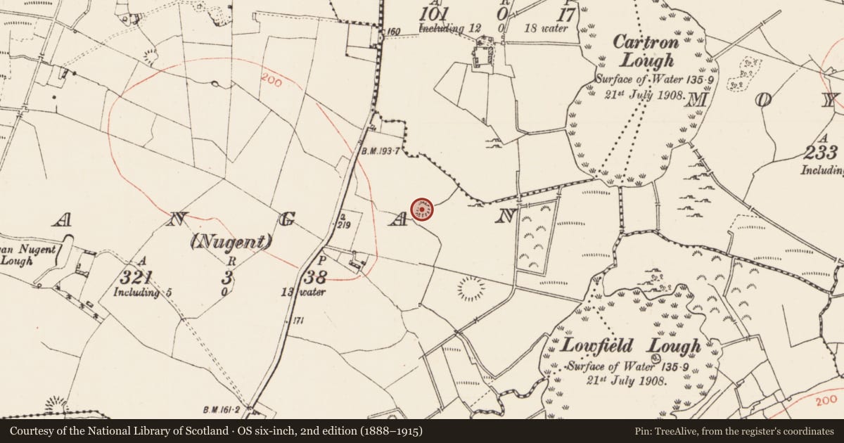 Ordnance Survey six-inch map, 2nd edition (1888–1915) covering the location of Ringfort - rath, Dangan (Nugent), County Roscommon, with a pin at the register's coordinates