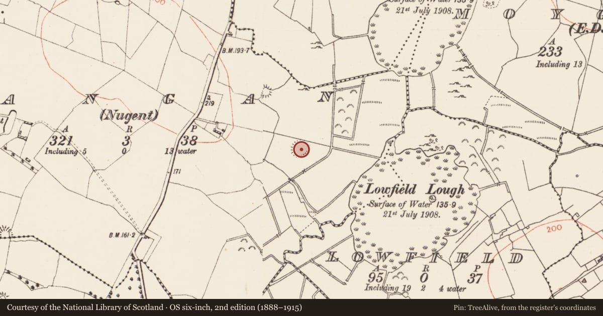 Ordnance Survey six-inch map, 2nd edition (1888–1915) covering the location of Ringfort - rath, Dangan (Nugent), County Roscommon, with a pin at the register's coordinates