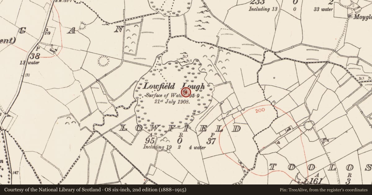 Ordnance Survey six-inch map, 2nd edition (1888–1915) covering the location of Crannog, Lowfield, County Roscommon, with a pin at the register's coordinates