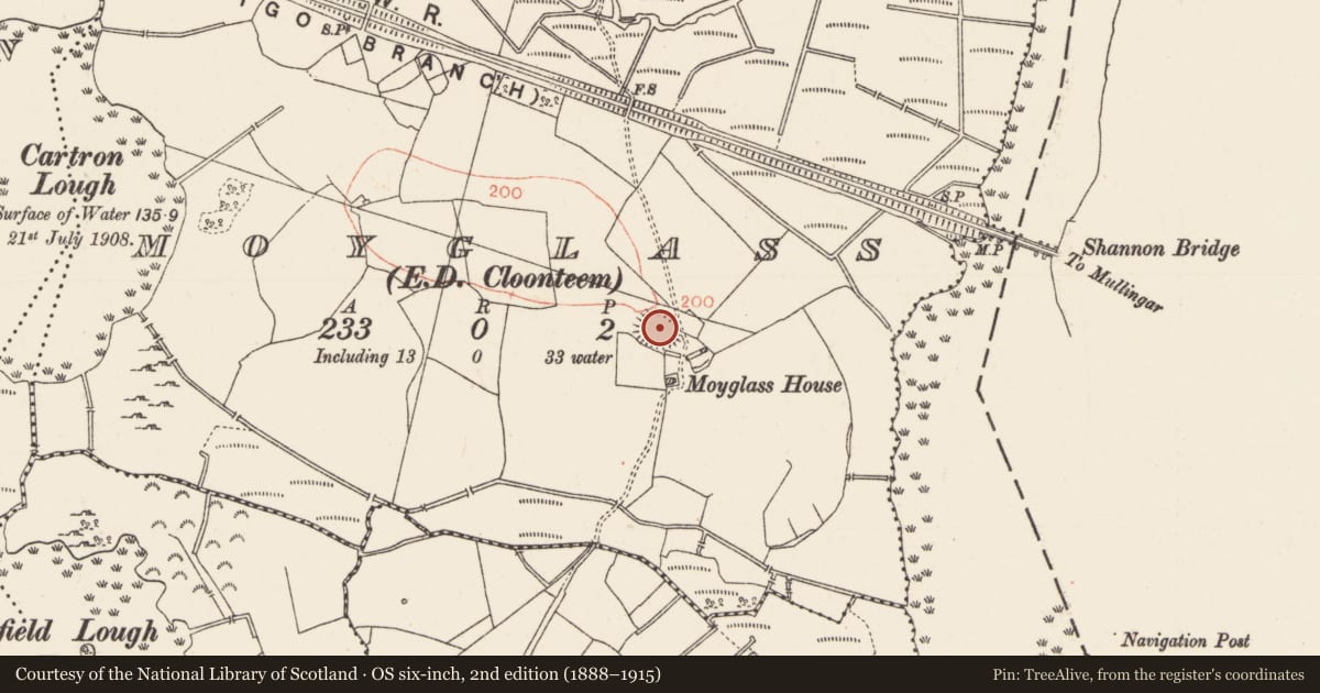 Ordnance Survey six-inch map, 2nd edition (1888–1915) covering the location of Ringfort - rath, Moyglass, County Roscommon, with a pin at the register's coordinates