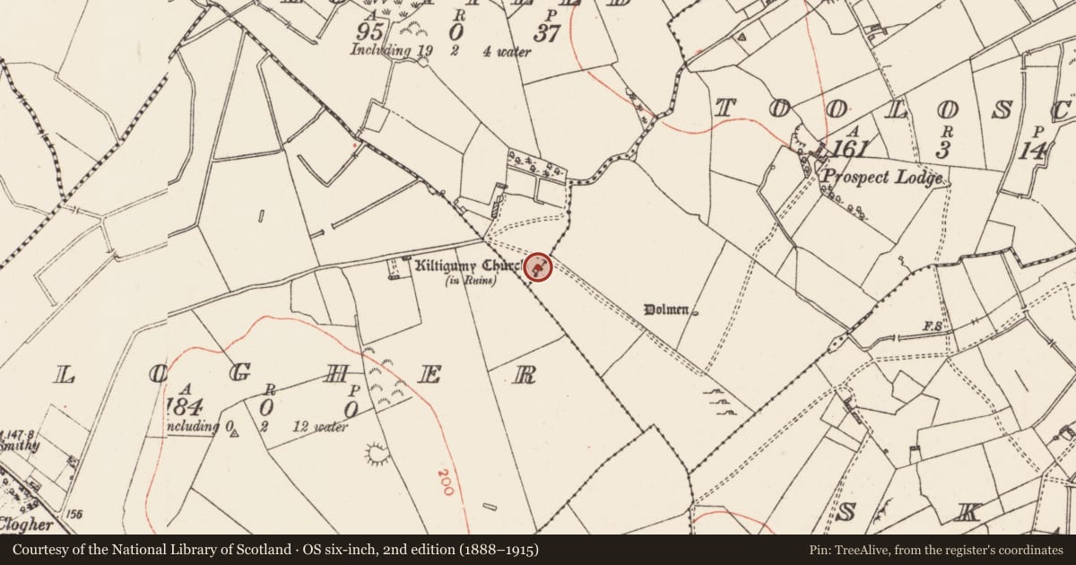 Ordnance Survey six-inch map, 2nd edition (1888–1915) covering the location of House - 18th/19th century, Lowfield, County Roscommon, with a pin at the register's coordinates