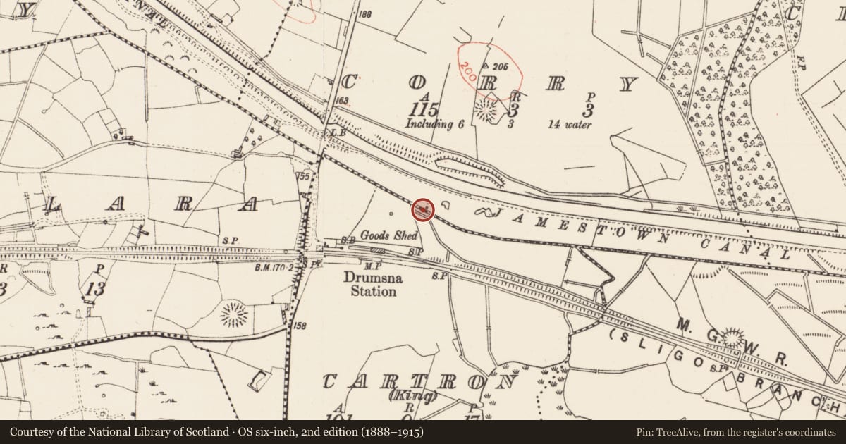 Ordnance Survey six-inch map, 2nd edition (1888–1915) covering the location of Burial, Cartron (KING), Corry, County Roscommon, with a pin at the register's coordinates
