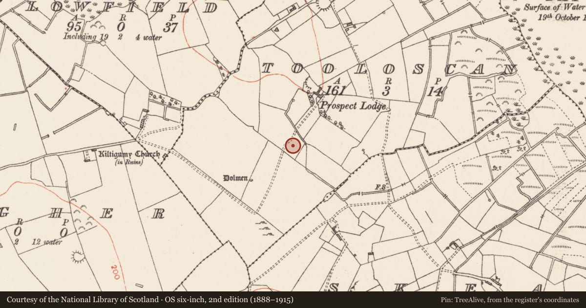 Ordnance Survey six-inch map, 2nd edition (1888–1915) covering the location of Ringfort - rath, Tooloscan, County Roscommon, with a pin at the register's coordinates