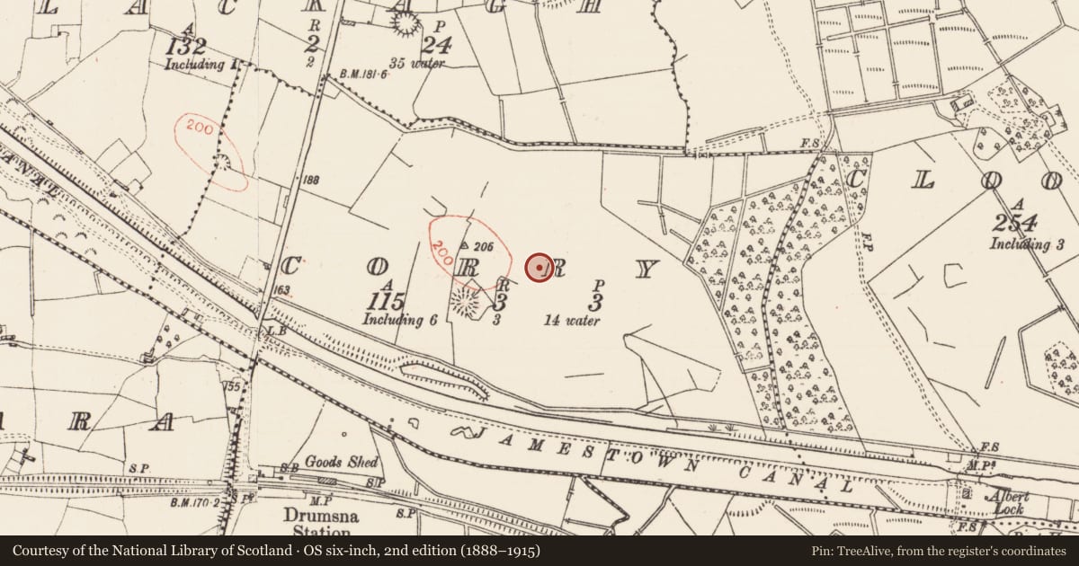 Ordnance Survey six-inch map, 2nd edition (1888–1915) covering the location of Ringfort - rath, Corry, County Roscommon, with a pin at the register's coordinates