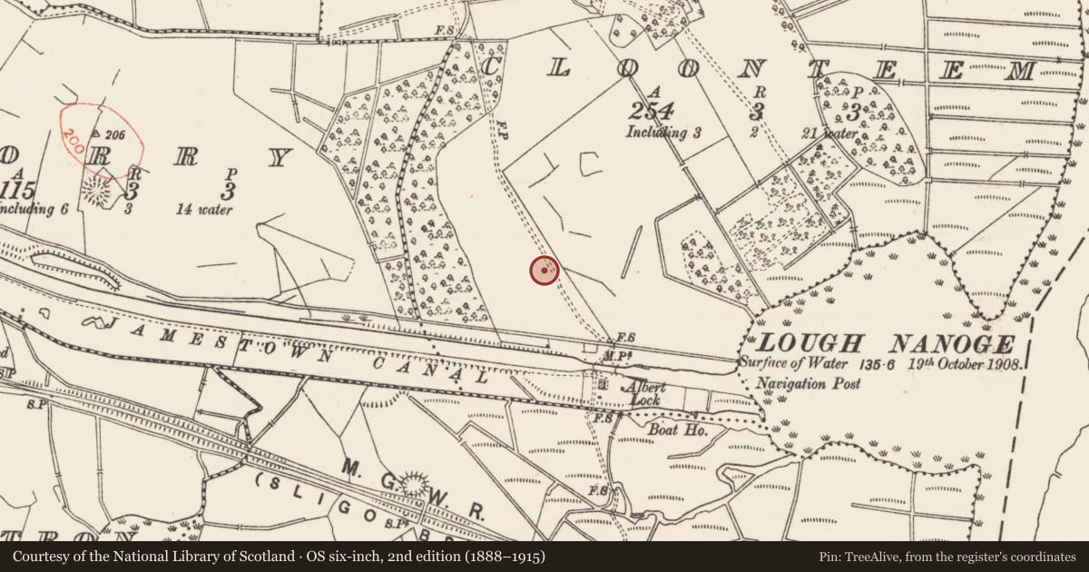 Ordnance Survey six-inch map, 2nd edition (1888–1915) covering the location of Ringfort - rath, Cloonteem, County Roscommon, with a pin at the register's coordinates