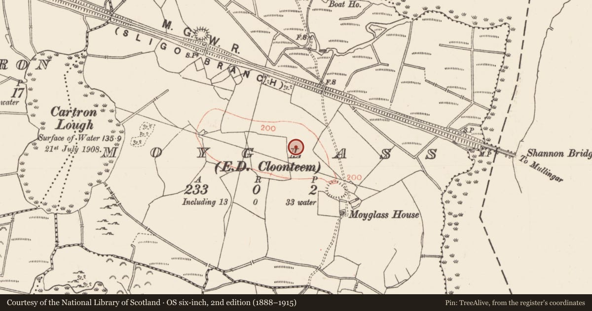 Ordnance Survey six-inch map, 2nd edition (1888–1915) covering the location of Ringfort - rath, Moyglass, County Roscommon, with a pin at the register's coordinates