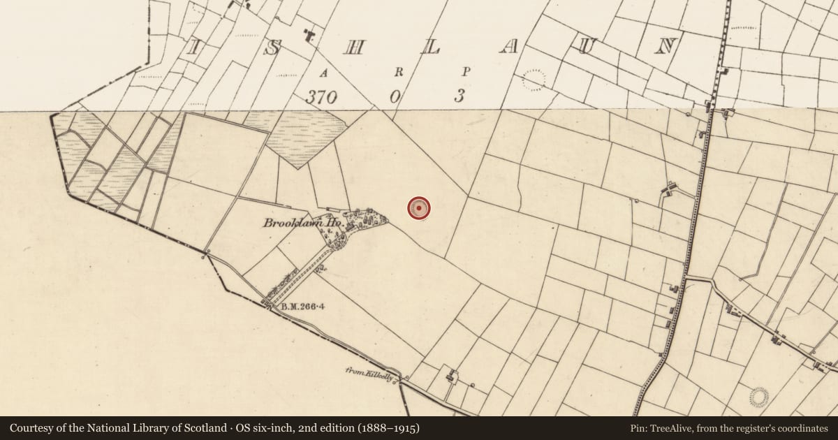 Ordnance Survey six-inch map, 2nd edition (1888–1915) covering the location of Ringfort - rath, Ishlaun, County Roscommon, with a pin at the register's coordinates