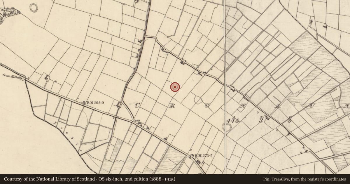 Ordnance Survey six-inch map, 2nd edition (1888–1915) covering the location of Ringfort - rath, Crunaun, County Roscommon, with a pin at the register's coordinates