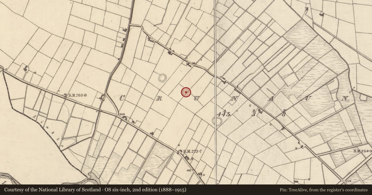 Ordnance Survey six-inch map, 2nd edition (1888–1915) covering the location of Ringfort - rath, Crunaun, County Roscommon, with a pin at the register's coordinates