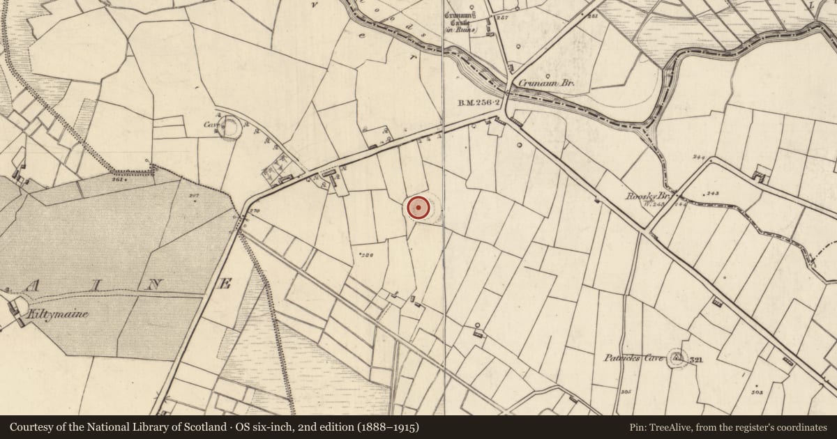 Ordnance Survey six-inch map, 2nd edition (1888–1915) covering the location of Ringfort - rath, Kiltybranks, County Roscommon, with a pin at the register's coordinates