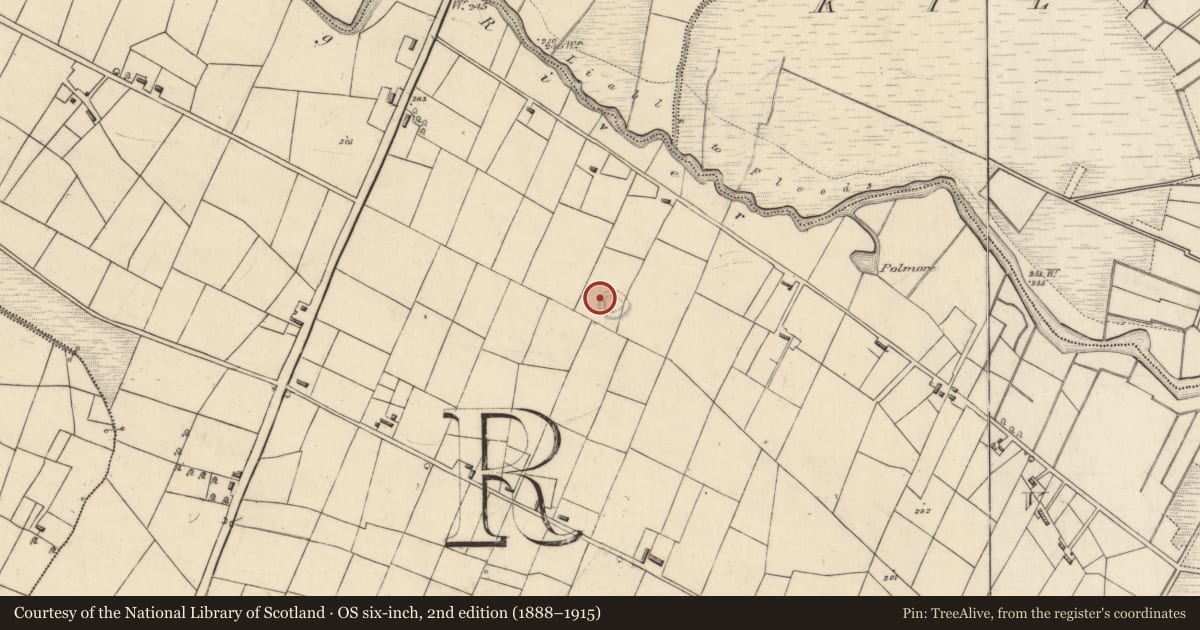 Ordnance Survey six-inch map, 2nd edition (1888–1915) covering the location of Ringfort - rath, Creevy, County Roscommon, with a pin at the register's coordinates