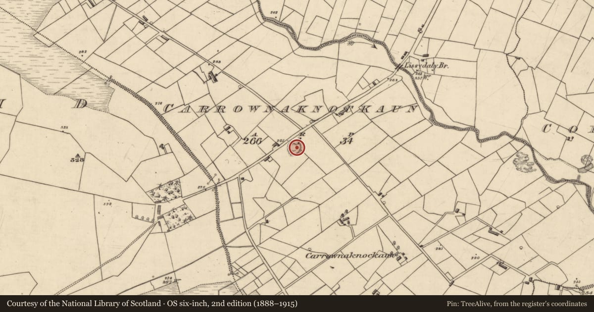 Ordnance Survey six-inch map, 2nd edition (1888–1915) covering the location of Souterrain, Carrownaknockaun, County Roscommon, with a pin at the register's coordinates