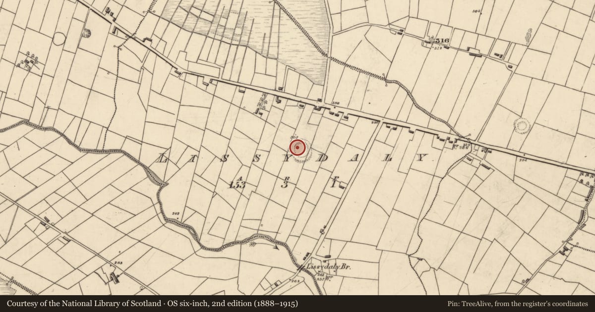 Ordnance Survey six-inch map, 2nd edition (1888–1915) covering the location of Ringfort - rath, Lissydaly, County Roscommon, with a pin at the register's coordinates