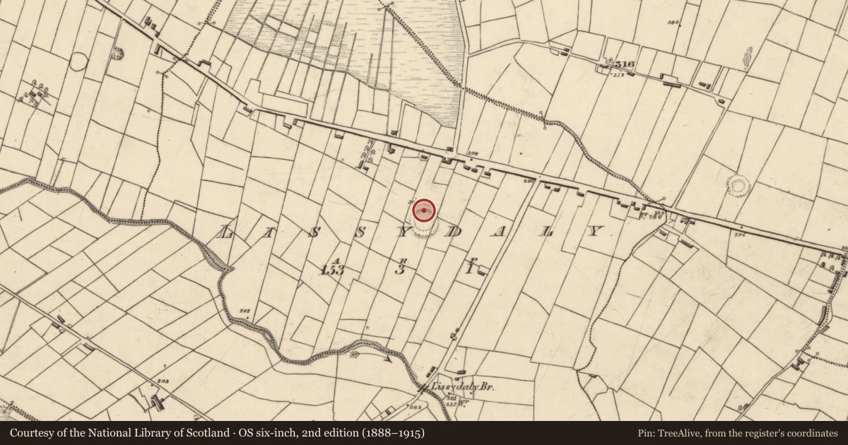 Ordnance Survey six-inch map, 2nd edition (1888–1915) covering the location of Souterrain, Lissydaly, County Roscommon, with a pin at the register's coordinates