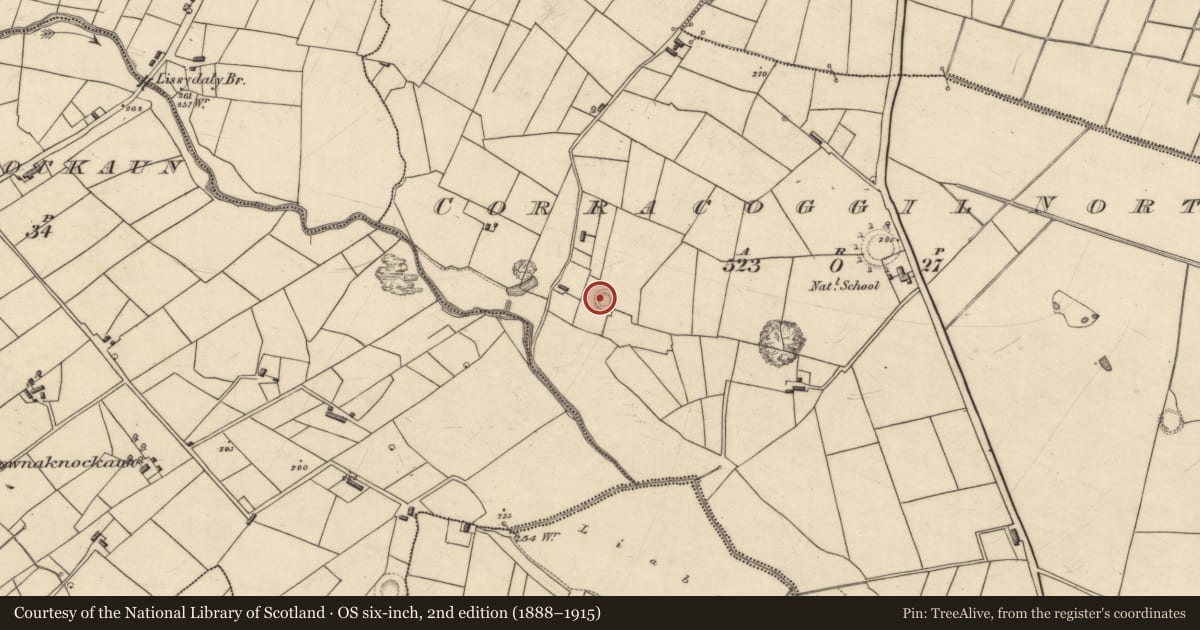 Ordnance Survey six-inch map, 2nd edition (1888–1915) covering the location of Earthwork, Corracoggil North, County Roscommon, with a pin at the register's coordinates