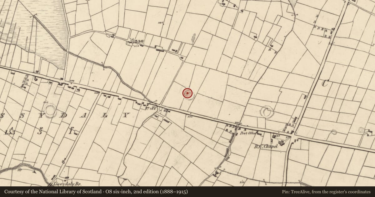 Ordnance Survey six-inch map, 2nd edition (1888–1915) covering the location of Ringfort - rath, Corracoggil North, County Roscommon, with a pin at the register's coordinates