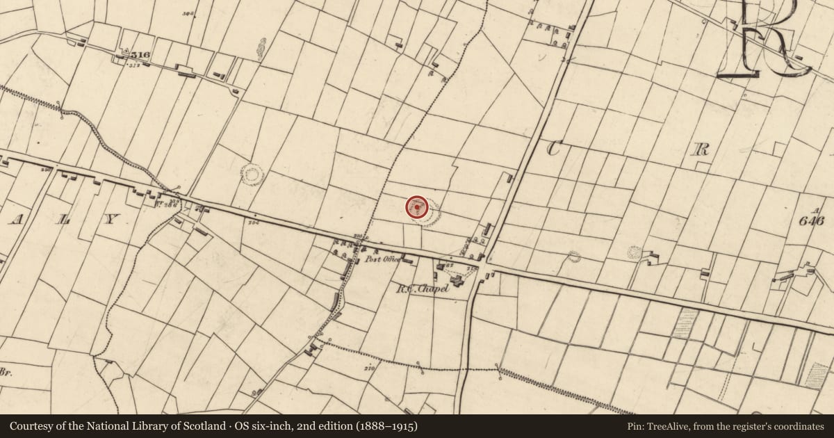 Ordnance Survey six-inch map, 2nd edition (1888–1915) covering the location of Ringfort - rath, Creevy, County Roscommon, with a pin at the register's coordinates