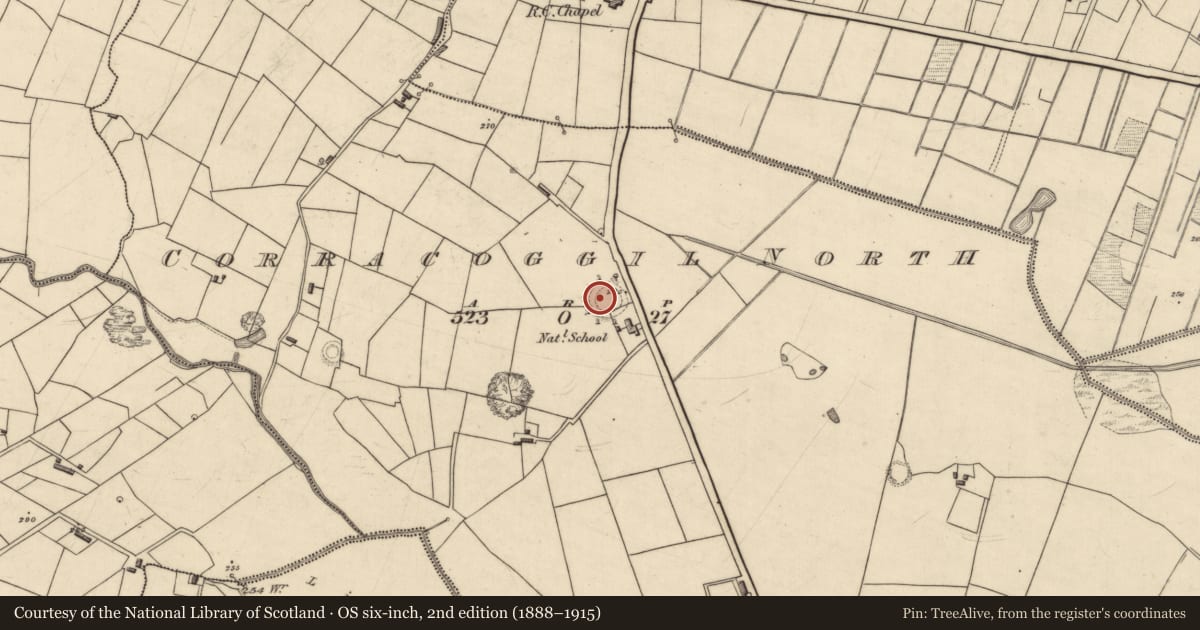 Ordnance Survey six-inch map, 2nd edition (1888–1915) covering the location of Ringfort - rath, Corracoggil North, County Roscommon, with a pin at the register's coordinates
