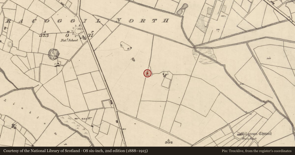 Ordnance Survey six-inch map, 2nd edition (1888–1915) covering the location of Ringfort - rath, Corracoggil North, County Roscommon, with a pin at the register's coordinates