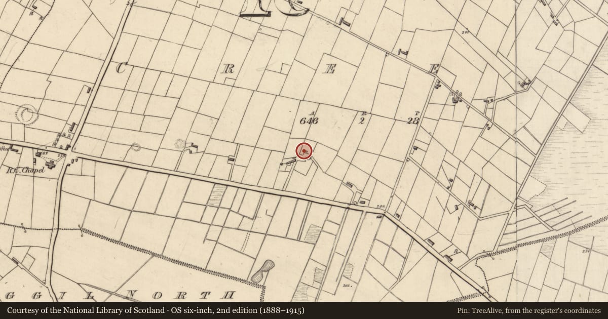 Ordnance Survey six-inch map, 2nd edition (1888–1915) covering the location of Earthwork, Creevy, County Roscommon, with a pin at the register's coordinates