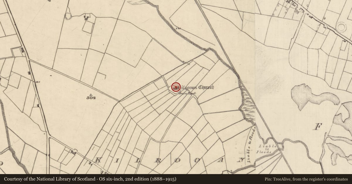 Ordnance Survey six-inch map, 2nd edition (1888–1915) covering the location of Church, Kilrooan, County Roscommon, with a pin at the register's coordinates