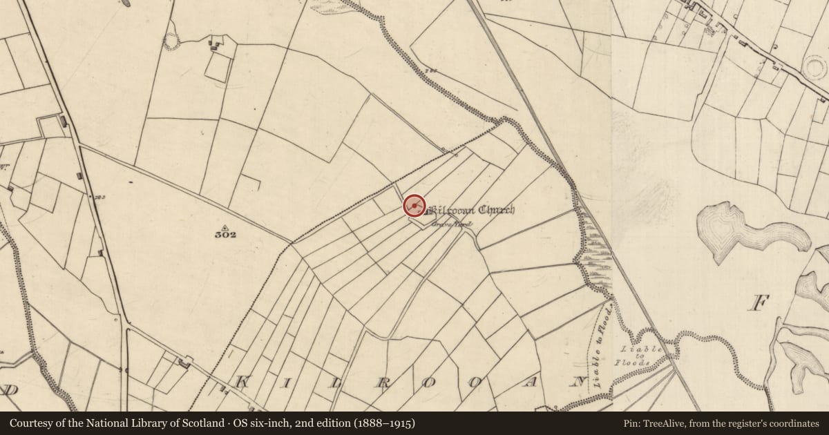 Ordnance Survey six-inch map, 2nd edition (1888–1915) covering the location of Bullaun stone, Kilrooan, County Roscommon, with a pin at the register's coordinates