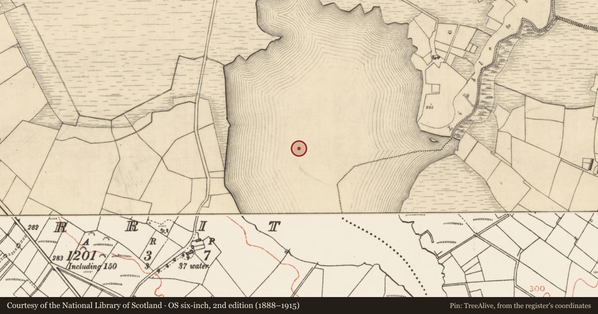 Ordnance Survey six-inch map, 2nd edition (1888–1915) covering the location of Crannog, Errit, County Roscommon, with a pin at the register's coordinates