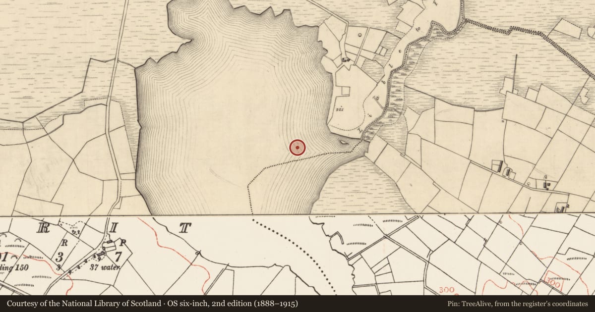Ordnance Survey six-inch map, 2nd edition (1888–1915) covering the location of Crannog, Errit, County Roscommon, with a pin at the register's coordinates