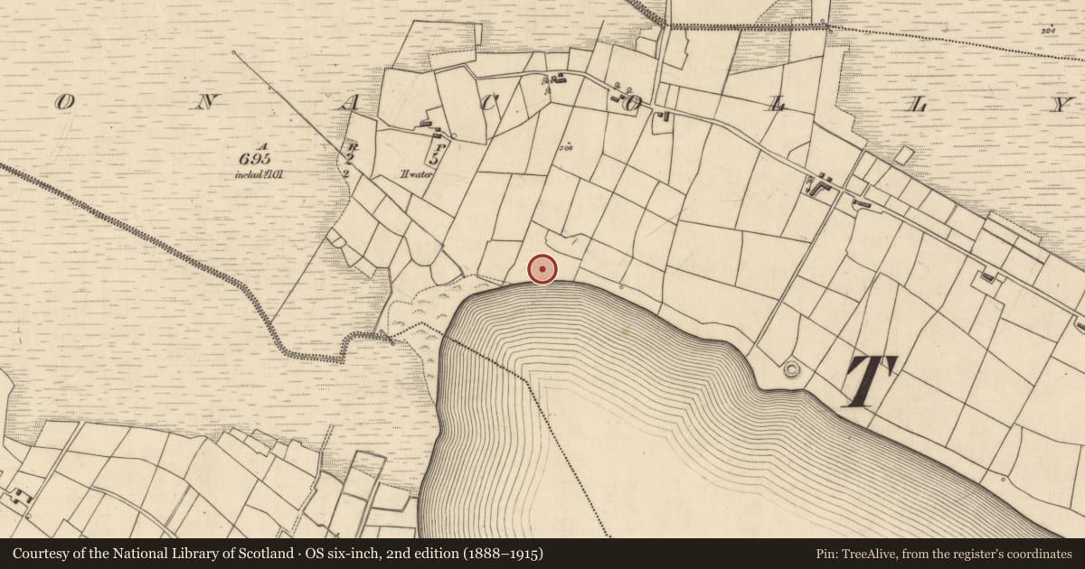 Ordnance Survey six-inch map, 2nd edition (1888–1915) covering the location of Mound, Cloonacolly, County Roscommon, with a pin at the register's coordinates